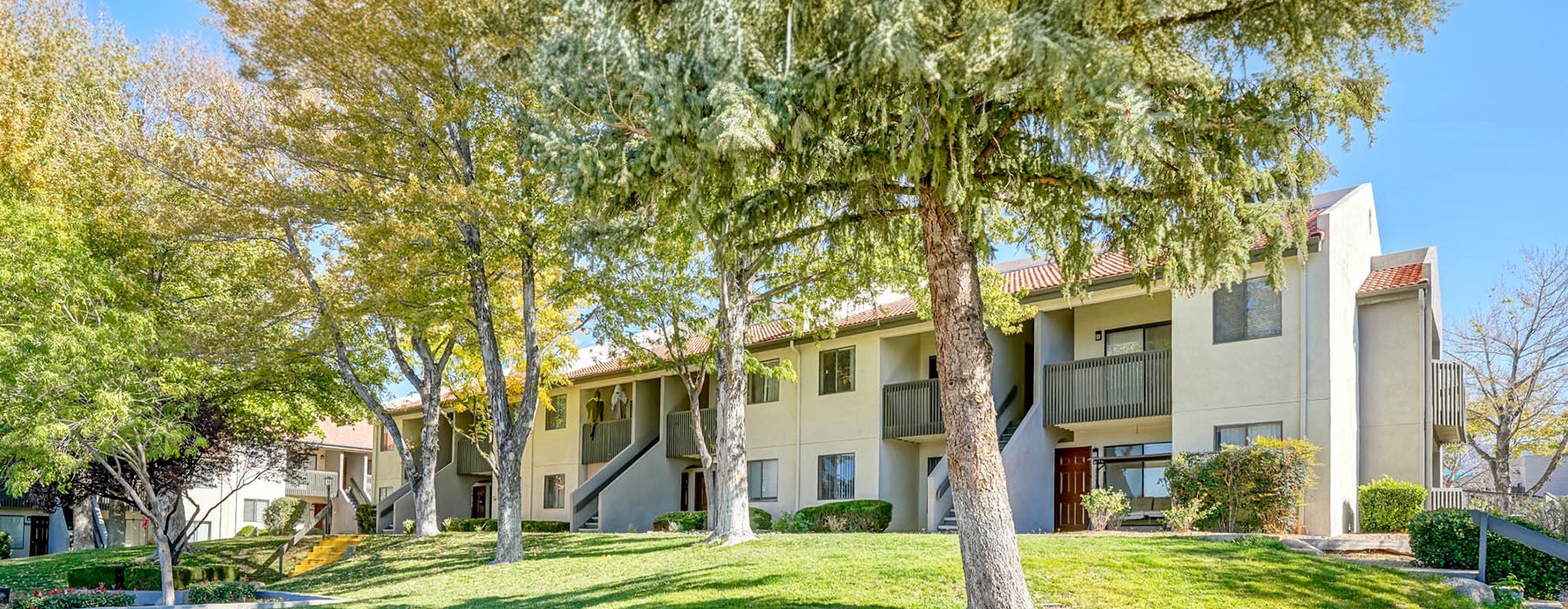 grass and trees outside a building